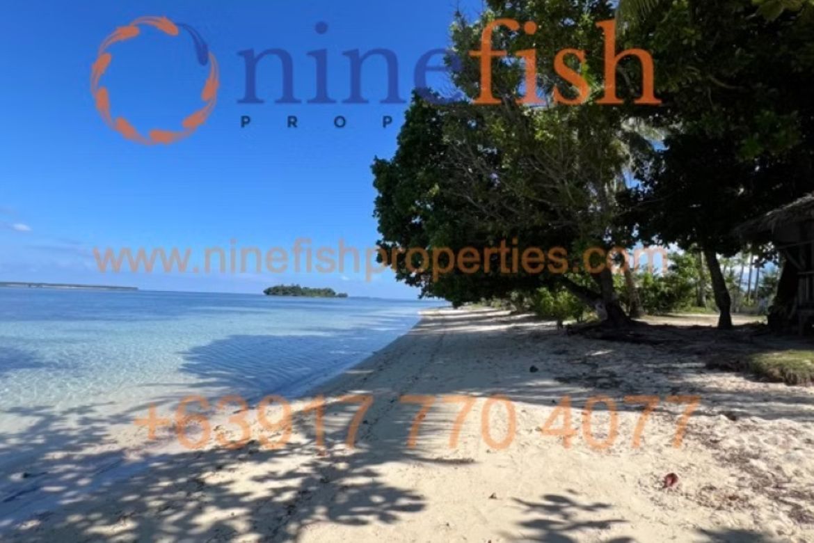 Land for Sale in Malinao, General Luna, Surigao del Norte – photo 6