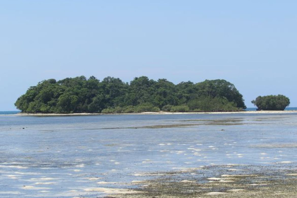 Land for Sale in Malinao, General Luna, Surigao del Norte