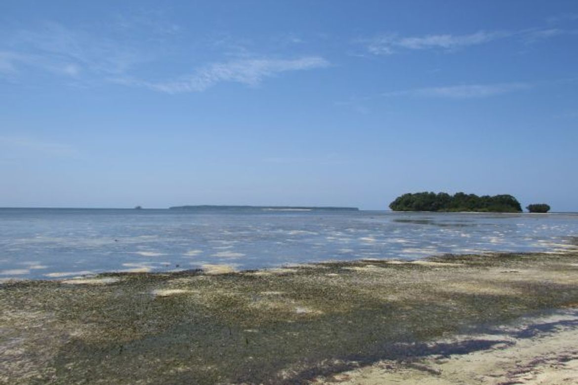 Land for Sale in Malinao, General Luna, Surigao del Norte – photo 3