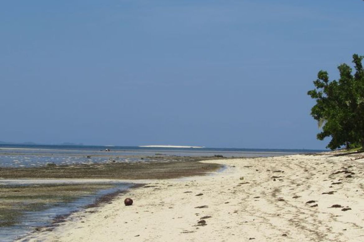 Land for Sale in Malinao, General Luna, Surigao del Norte – photo 5