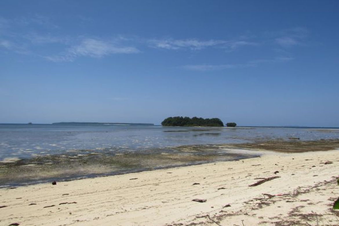 Land for Sale in Malinao, General Luna, Surigao del Norte – photo 6