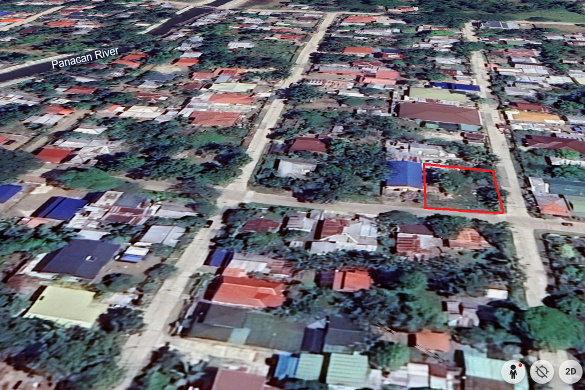 Land for Sale in Malinao, Narra, Palawan – photo 2