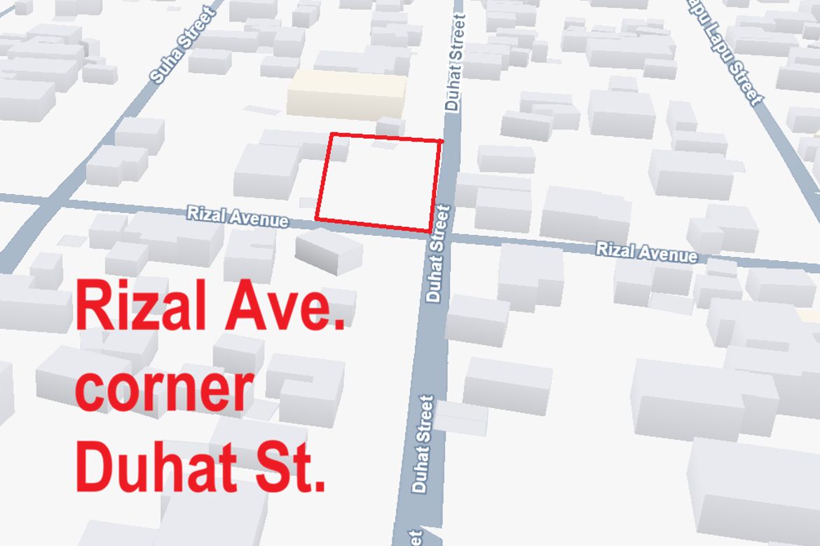 Land for Sale in Malinao, Narra, Palawan – photo 3