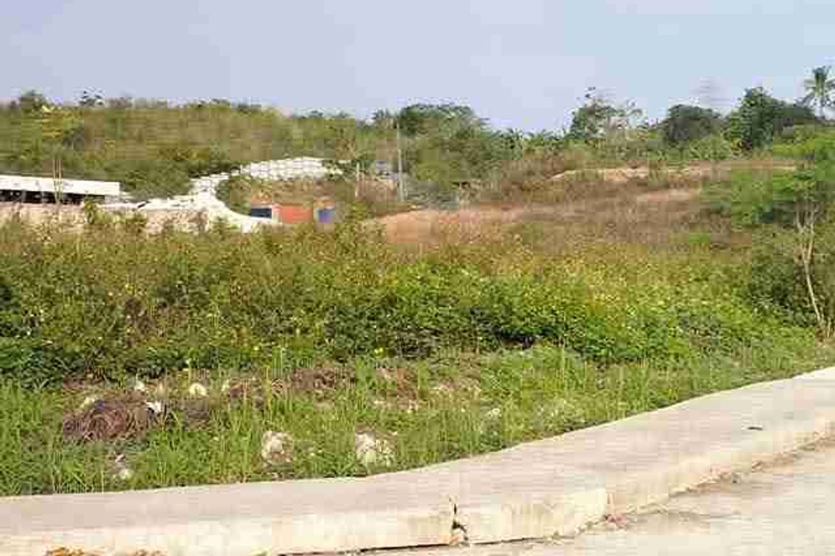 Land for Sale in Malingin, Bogo, Cebu – photo 6
