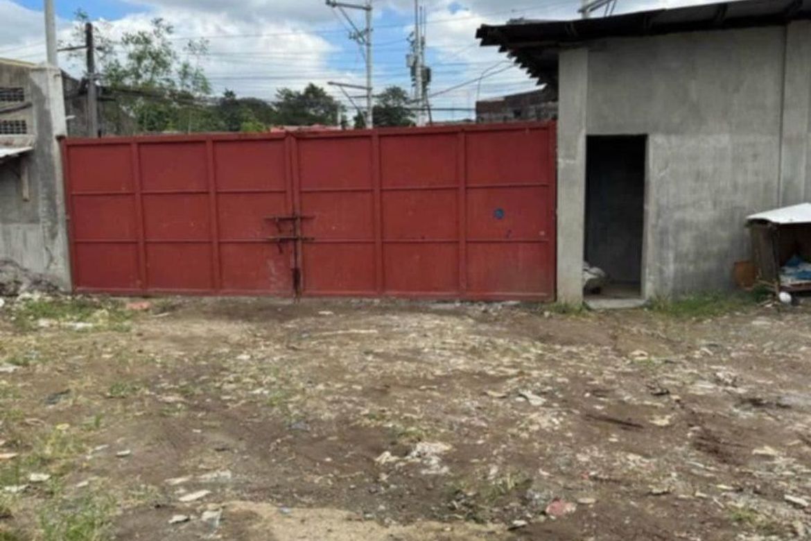 Land for Sale in Malinta, Valenzuela, Metro Manila