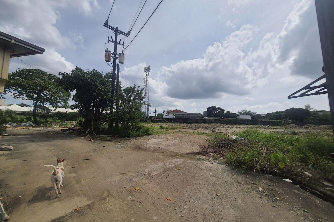 Land for Sale in Malinta, Valenzuela, Metro Manila