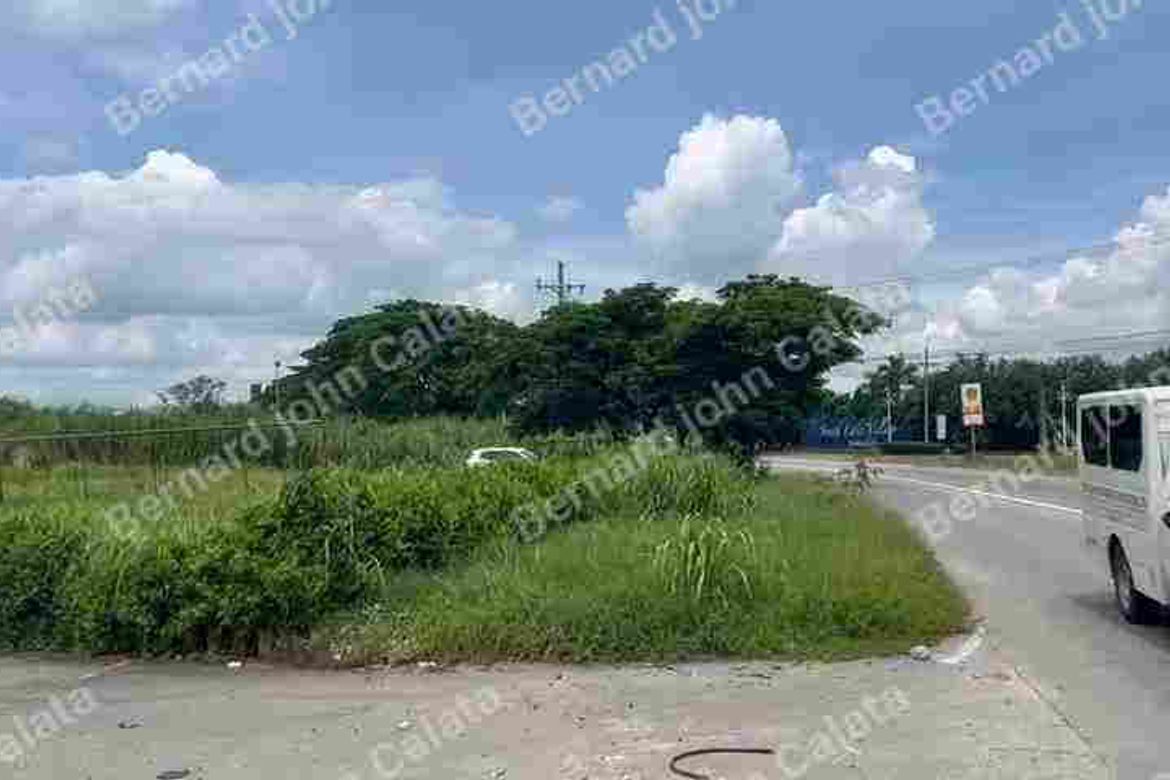 Land for Sale in Malitlit, Santa Rosa, Laguna – photo 4