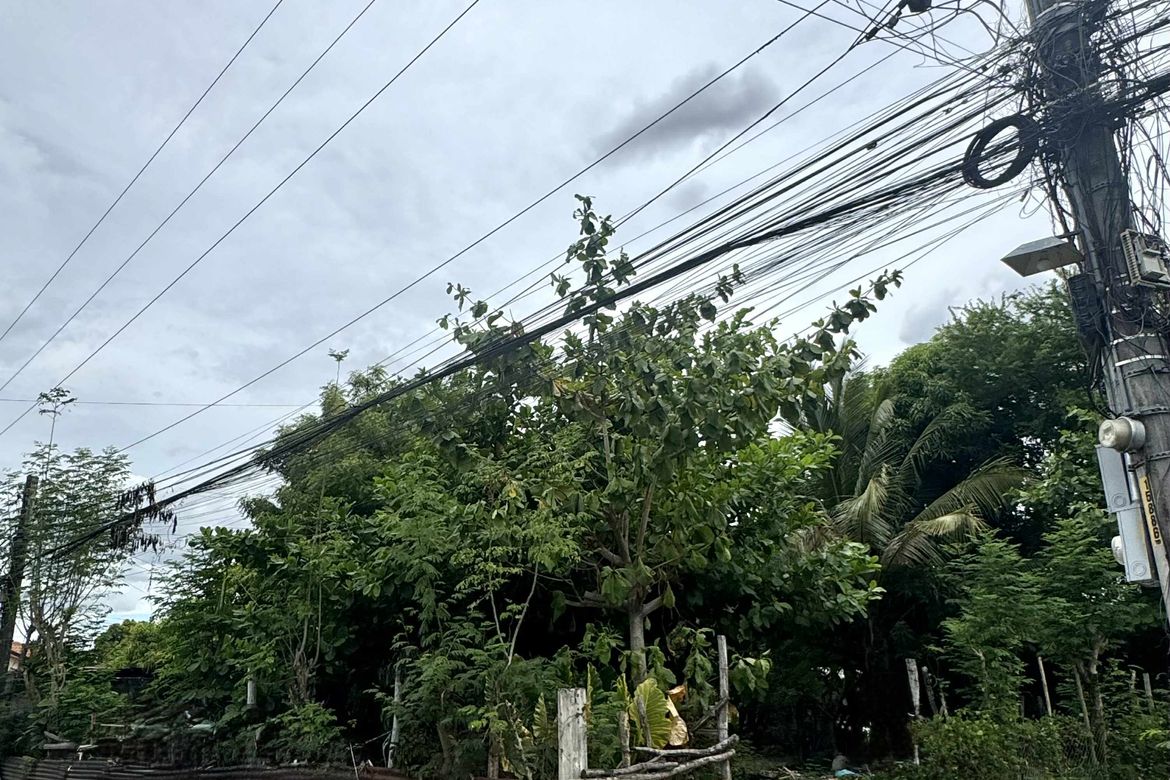 Land for Sale in Maliwalo, Tarlac, Tarlac – photo 3