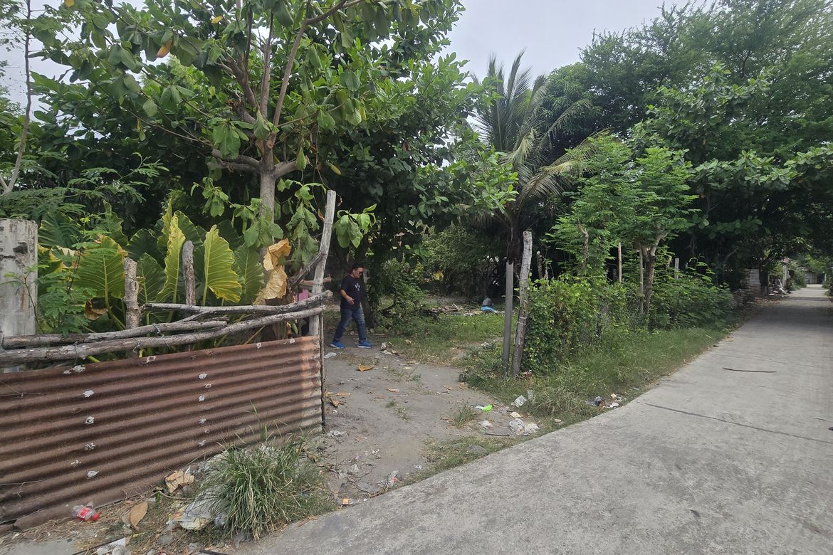 Land for Sale in Maliwalo, Tarlac, Tarlac – photo 4