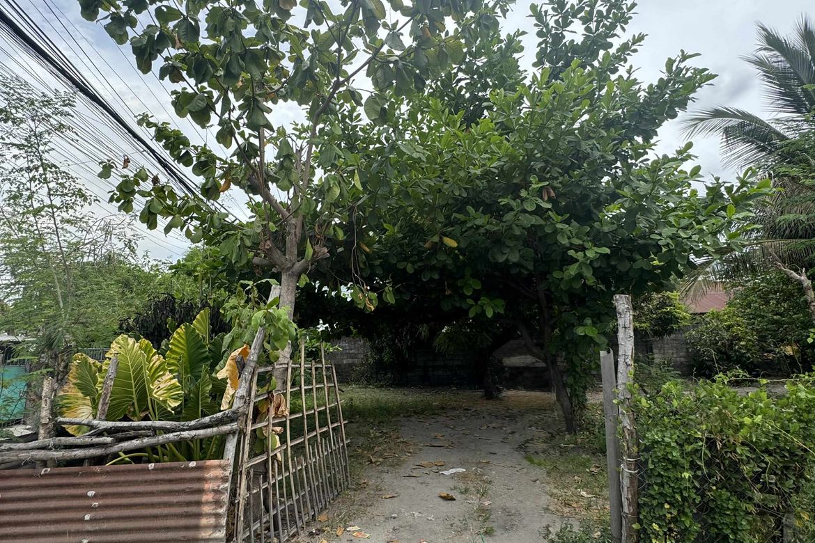 Land for Sale in Maliwalo, Tarlac, Tarlac – photo 5
