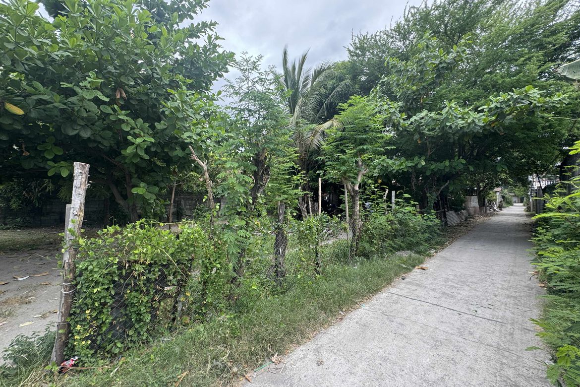 Land for Sale in Maliwalo, Tarlac, Tarlac – photo 7
