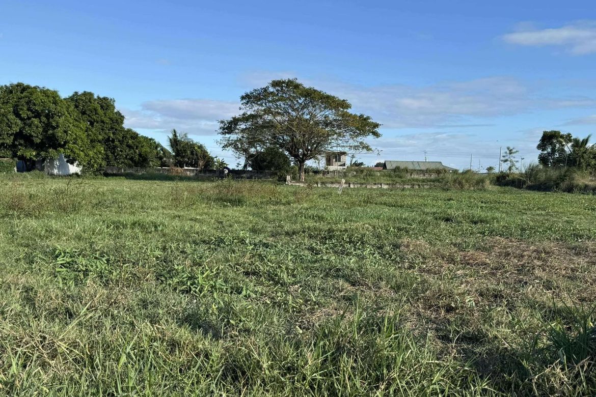 Land for Sale in Maliwalu, Bacolor, Pampanga