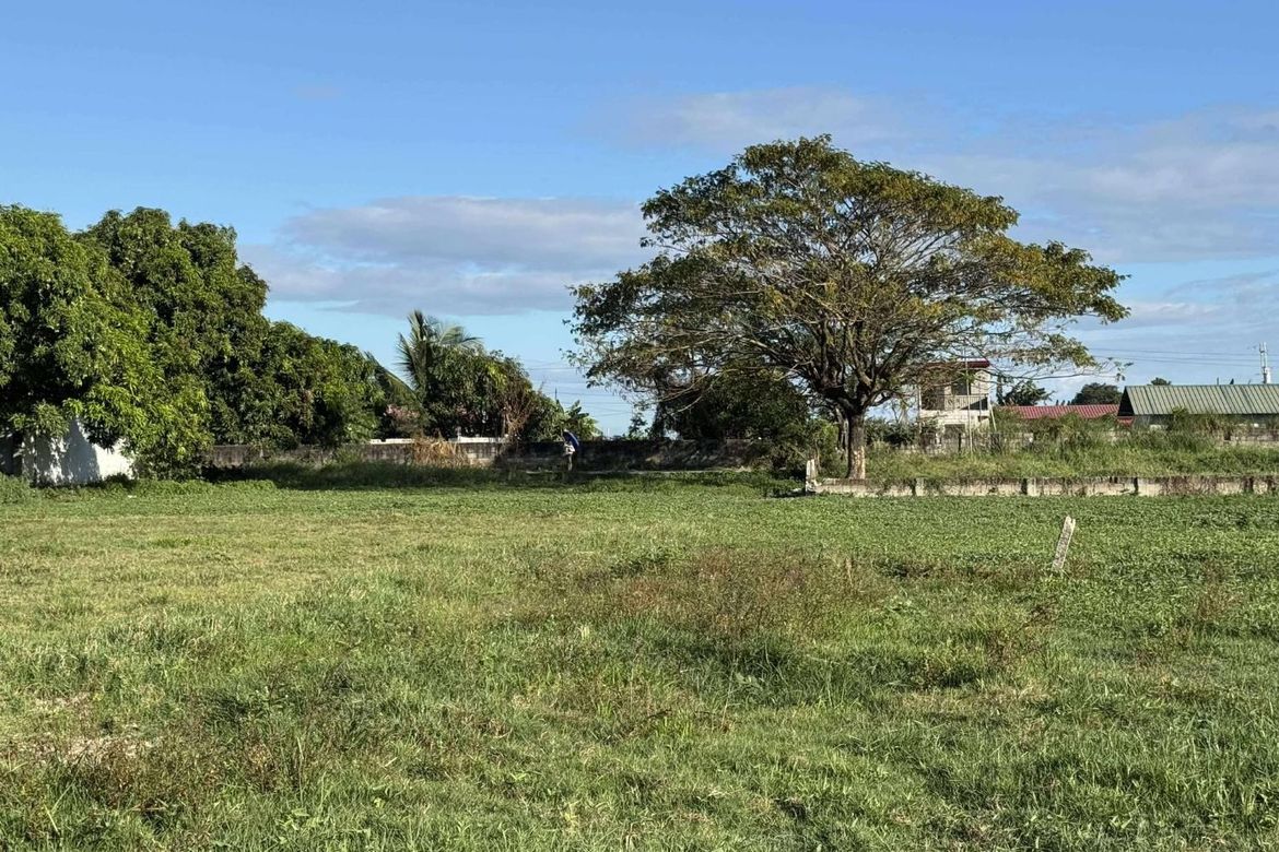 Land for Sale in Maliwalu, Bacolor, Pampanga – photo 3
