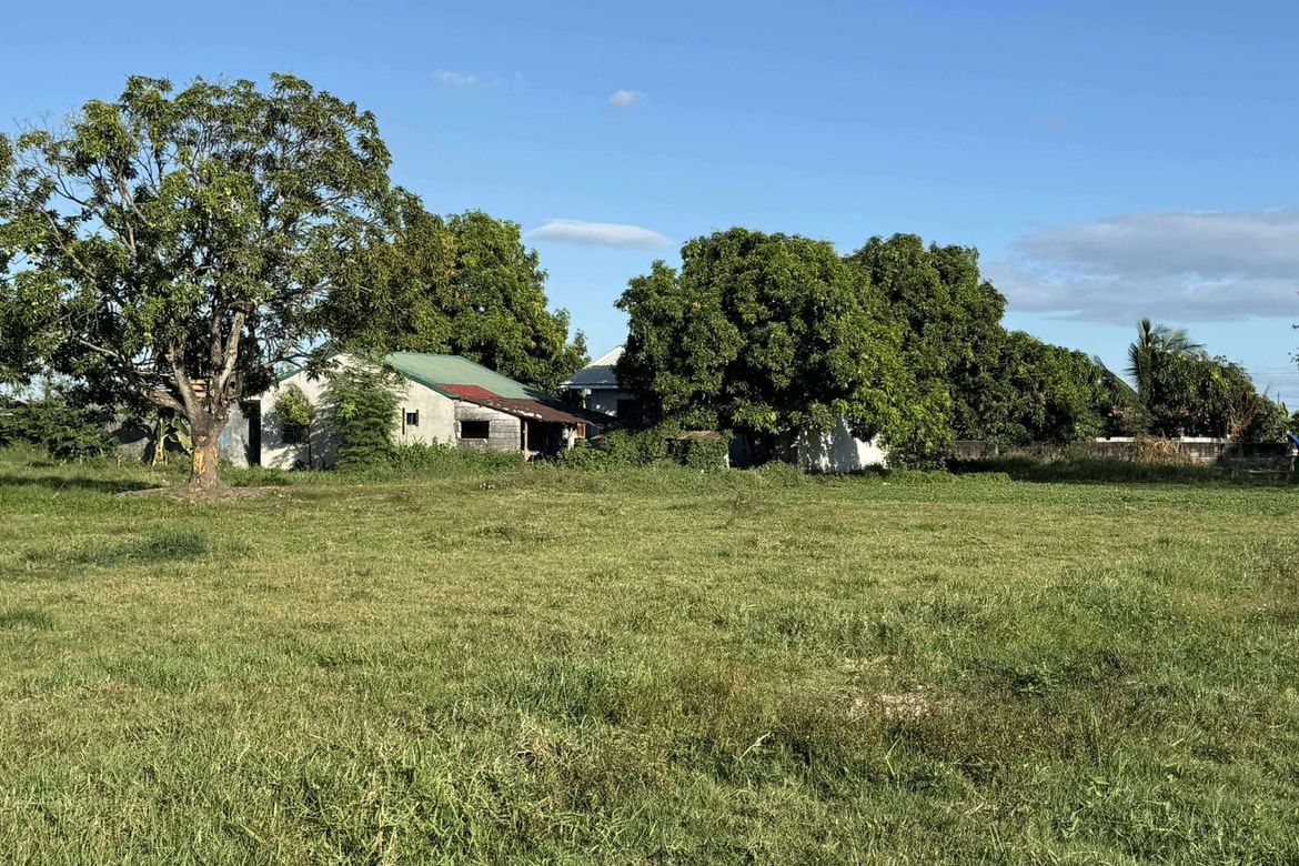 Land for Sale in Maliwalu, Bacolor, Pampanga – photo 5