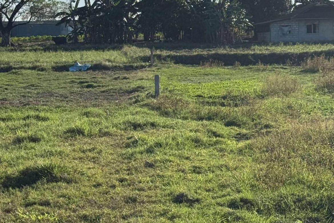 Land for Sale in Maliwalu, Bacolor, Pampanga – photo 6