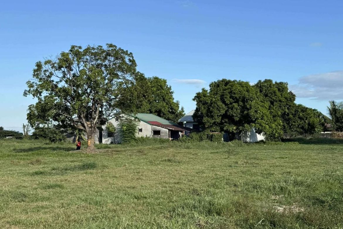 Land for Sale in Maliwalu, Bacolor, Pampanga – photo 8