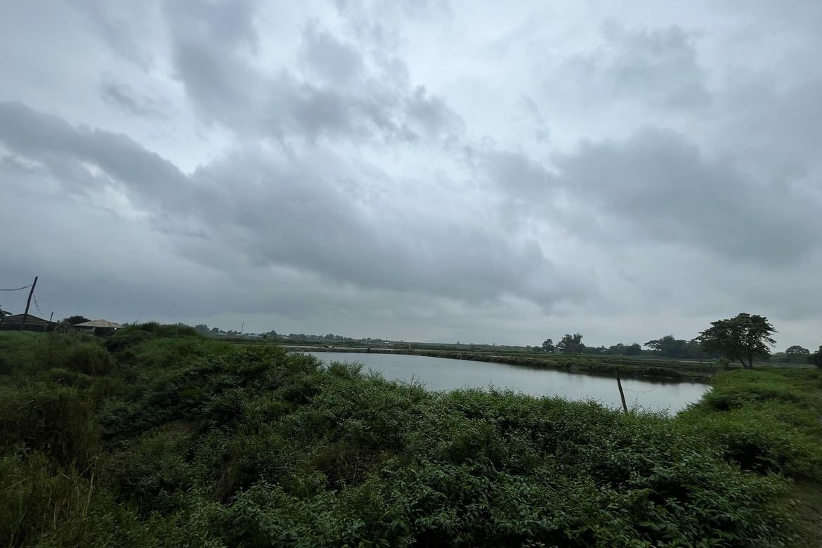 Land for Sale in Malonzo, Bamban, Tarlac