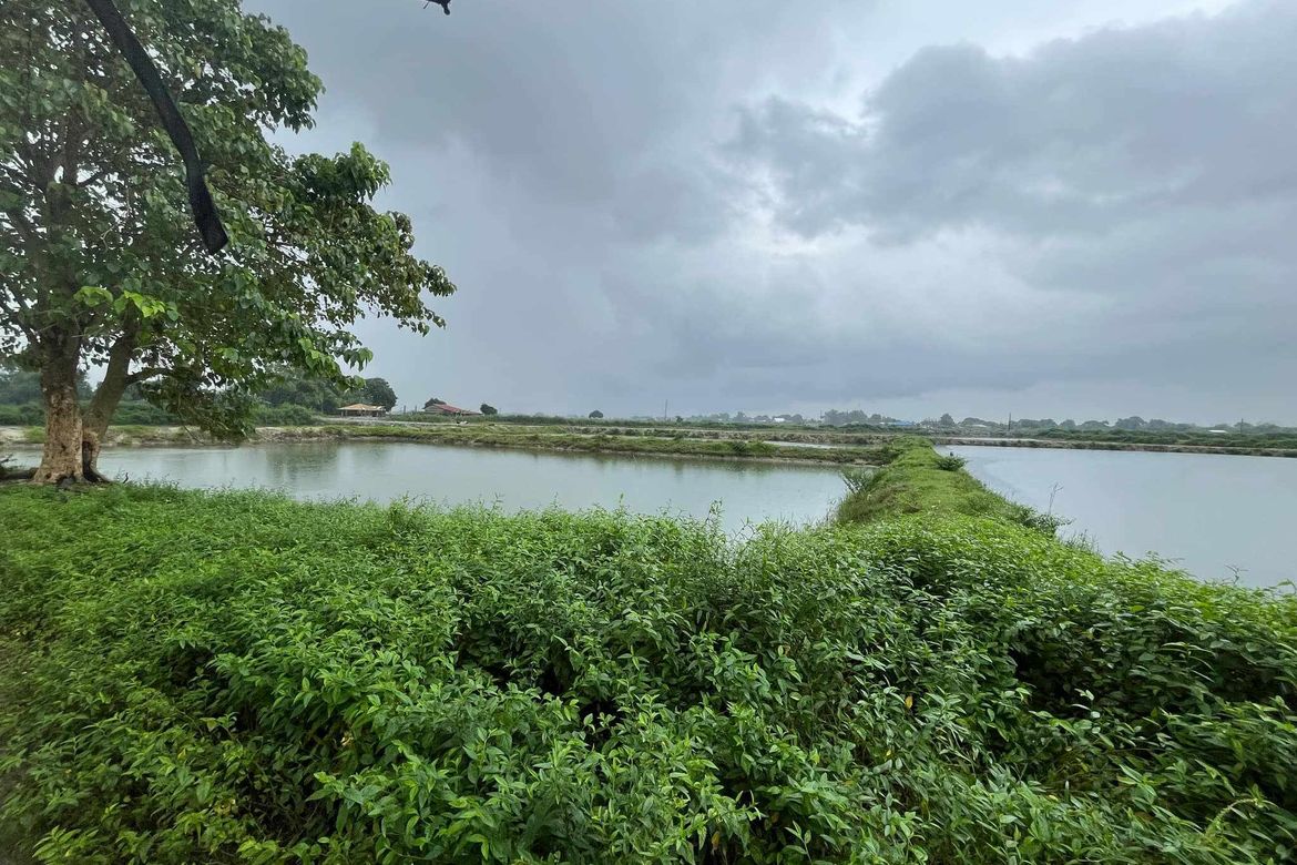 Land for Sale in Malonzo, Bamban, Tarlac – photo 2