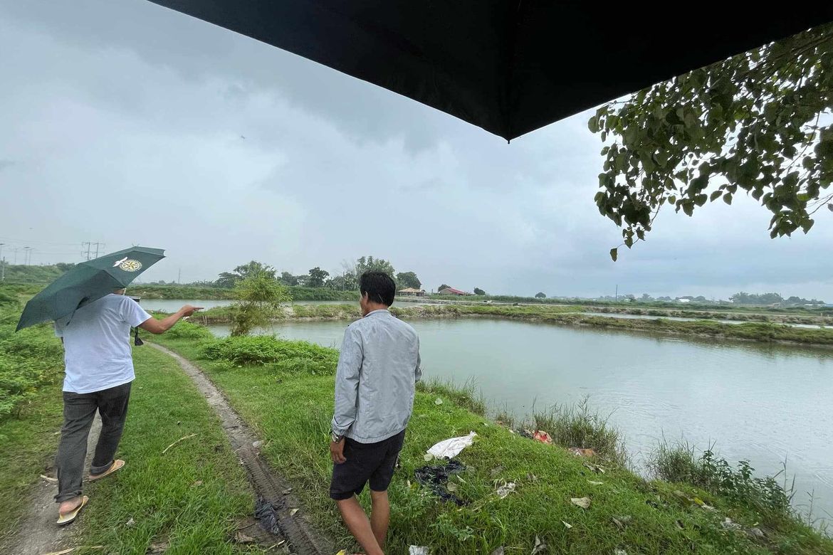 Land for Sale in Malonzo, Bamban, Tarlac – photo 3