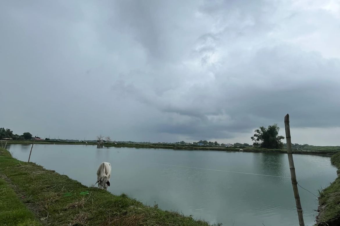 Land for Sale in Malonzo, Bamban, Tarlac – photo 7
