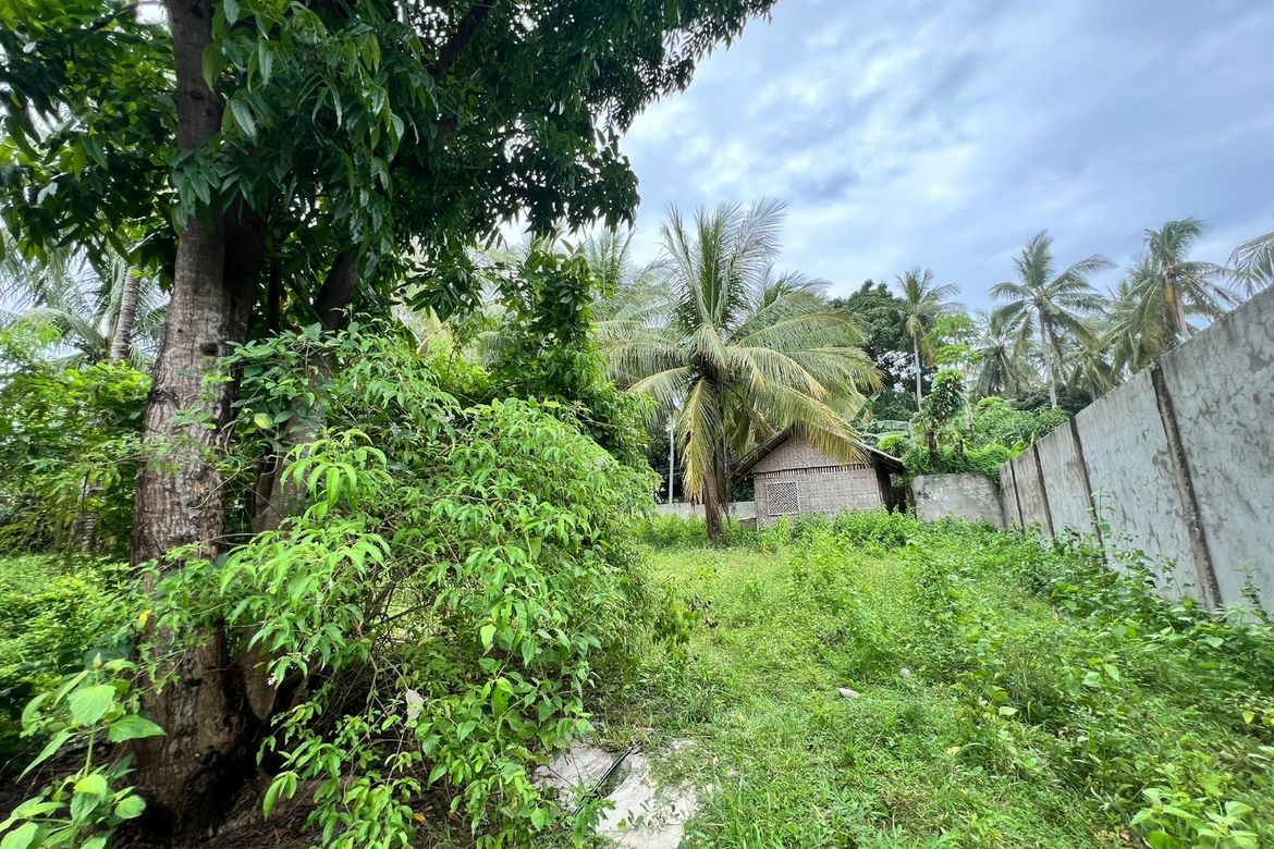 Land for Sale in Maluay, Zamboanguita, Negros Oriental – photo 8
