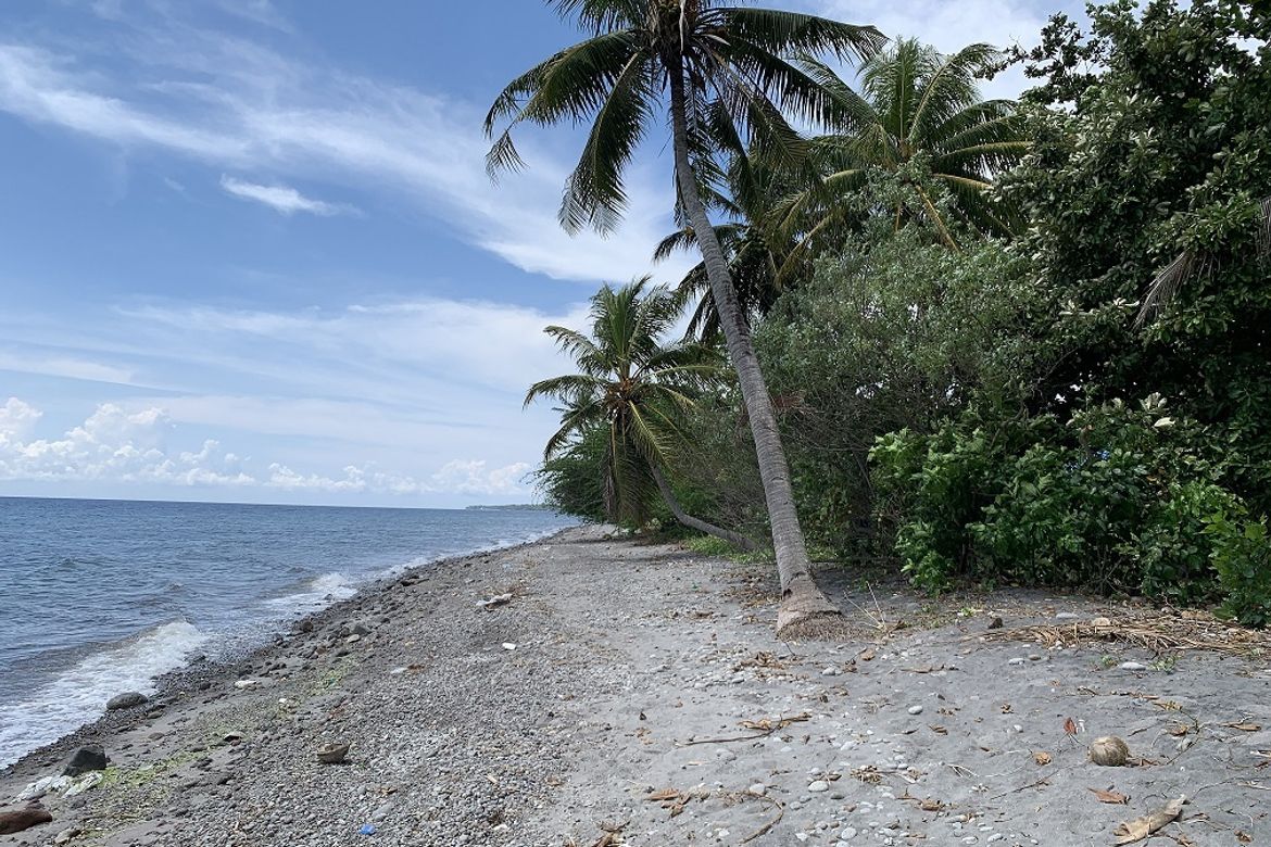 Land for Sale in Maluay, Zamboanguita, Negros Oriental