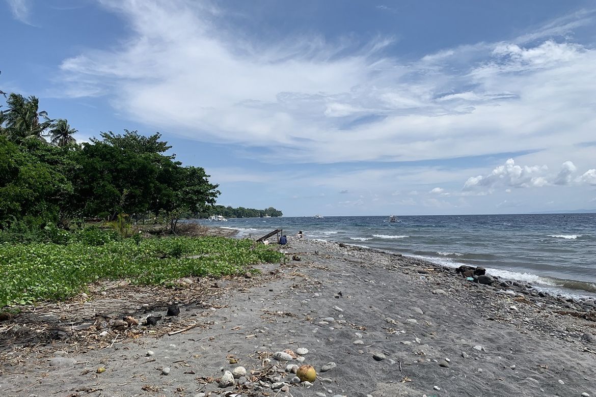 Land for Sale in Maluay, Zamboanguita, Negros Oriental – photo 7