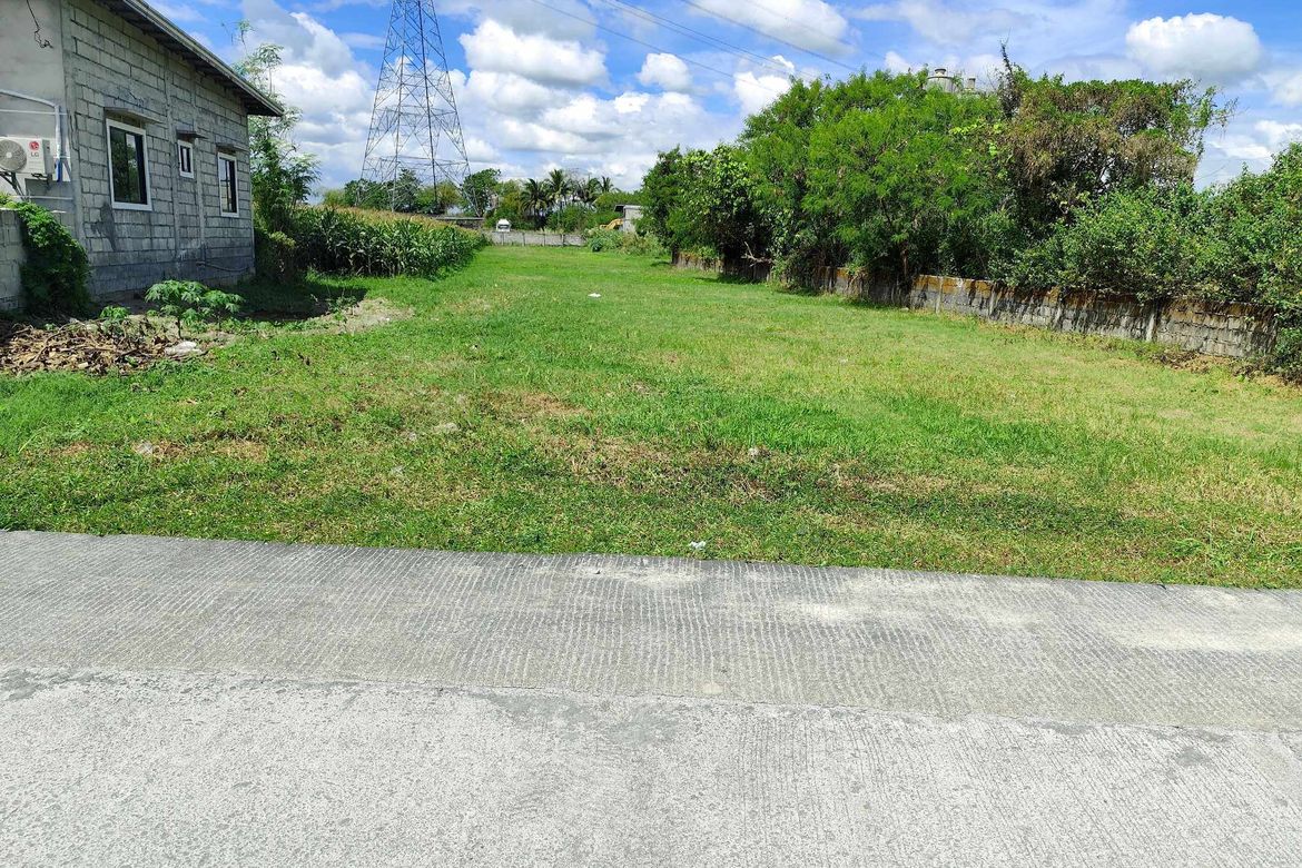 Land for Sale in Malupa, Concepcion, Tarlac