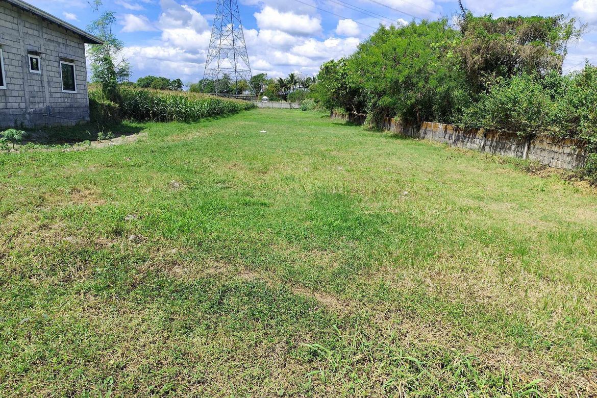 Land for Sale in Malupa, Concepcion, Tarlac – photo 2