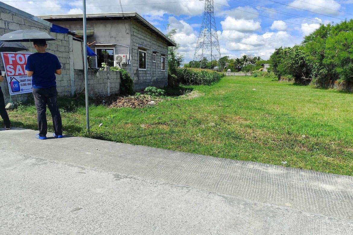 Land for Sale in Malupa, Concepcion, Tarlac – photo 4