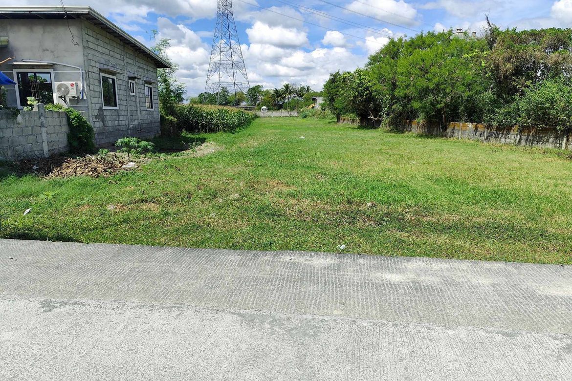 Land for Sale in Malupa, Concepcion, Tarlac – photo 5