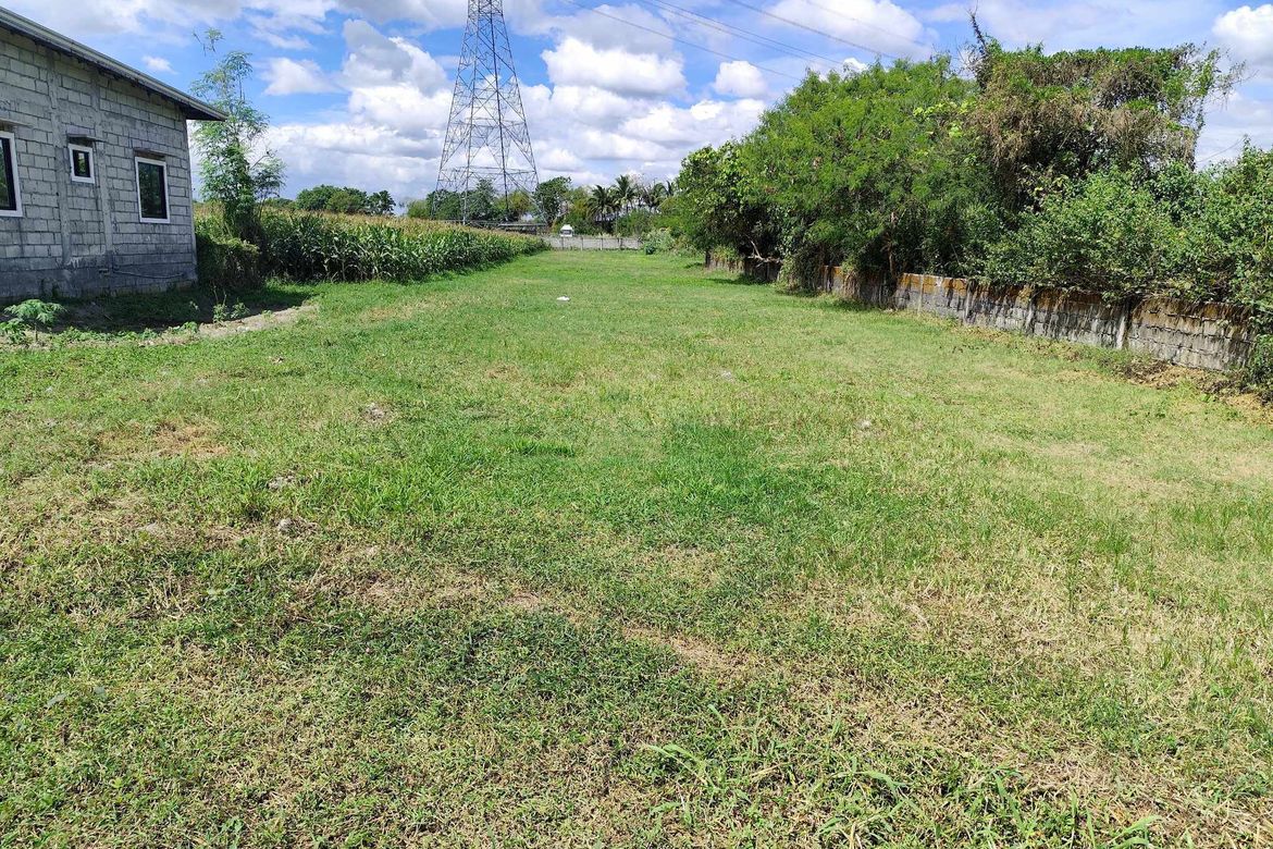 Land for Sale in Malupa, Concepcion, Tarlac – photo 6