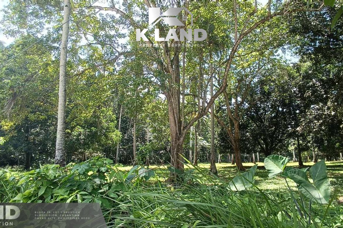 Land for Sale in Mambago-A, Samal, Davao del Norte – photo 2