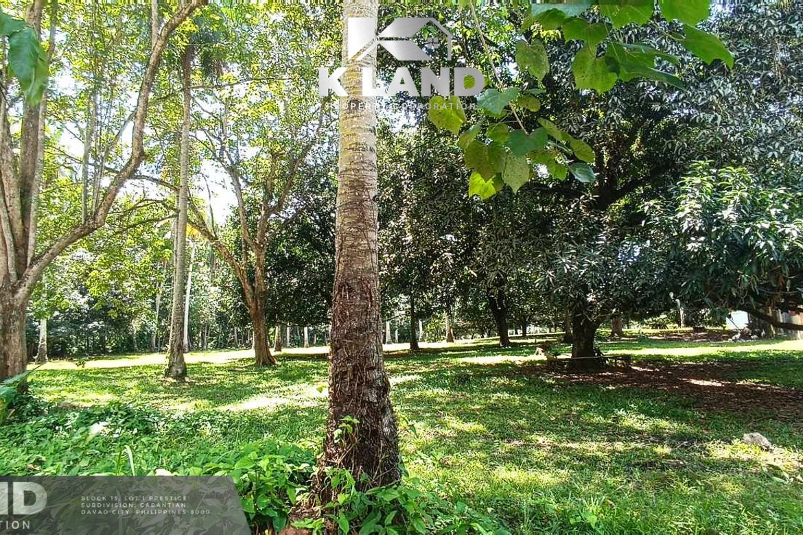 Land for Sale in Mambago-A, Samal, Davao del Norte – photo 3