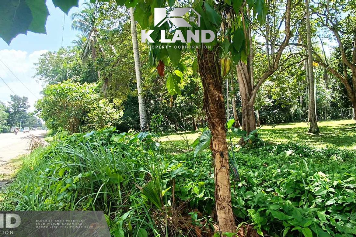 Land for Sale in Mambago-A, Samal, Davao del Norte – photo 4