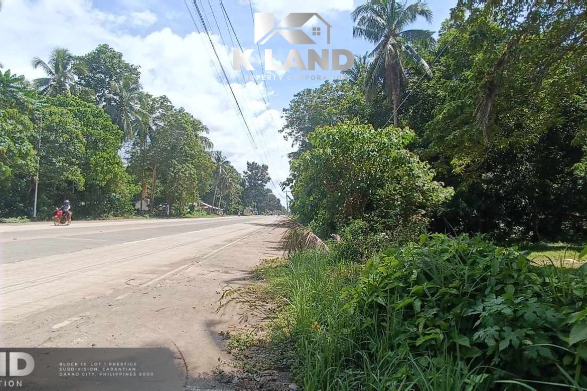Land for Sale in Mambago-A, Samal, Davao del Norte – photo 5