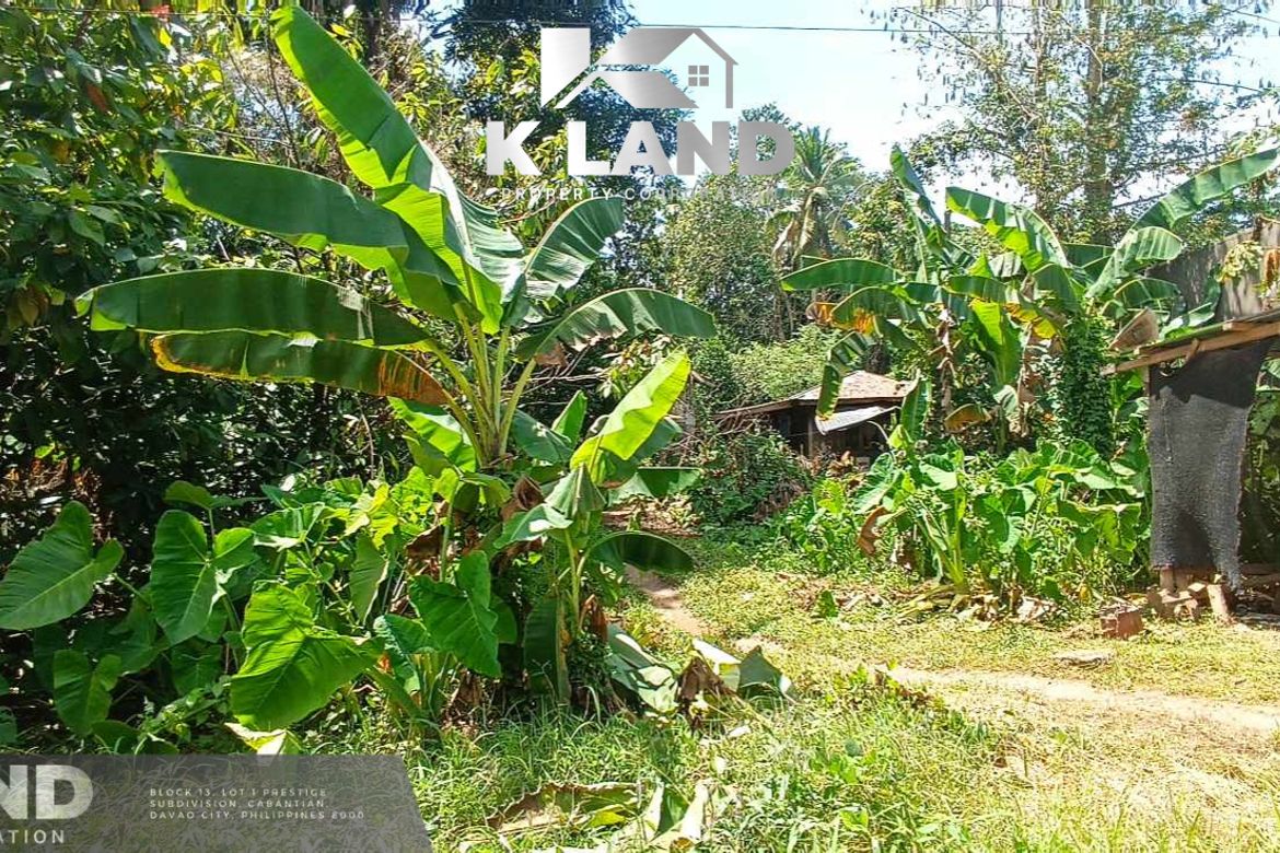 Land for Sale in Mambago-A, Samal, Davao del Norte – photo 2