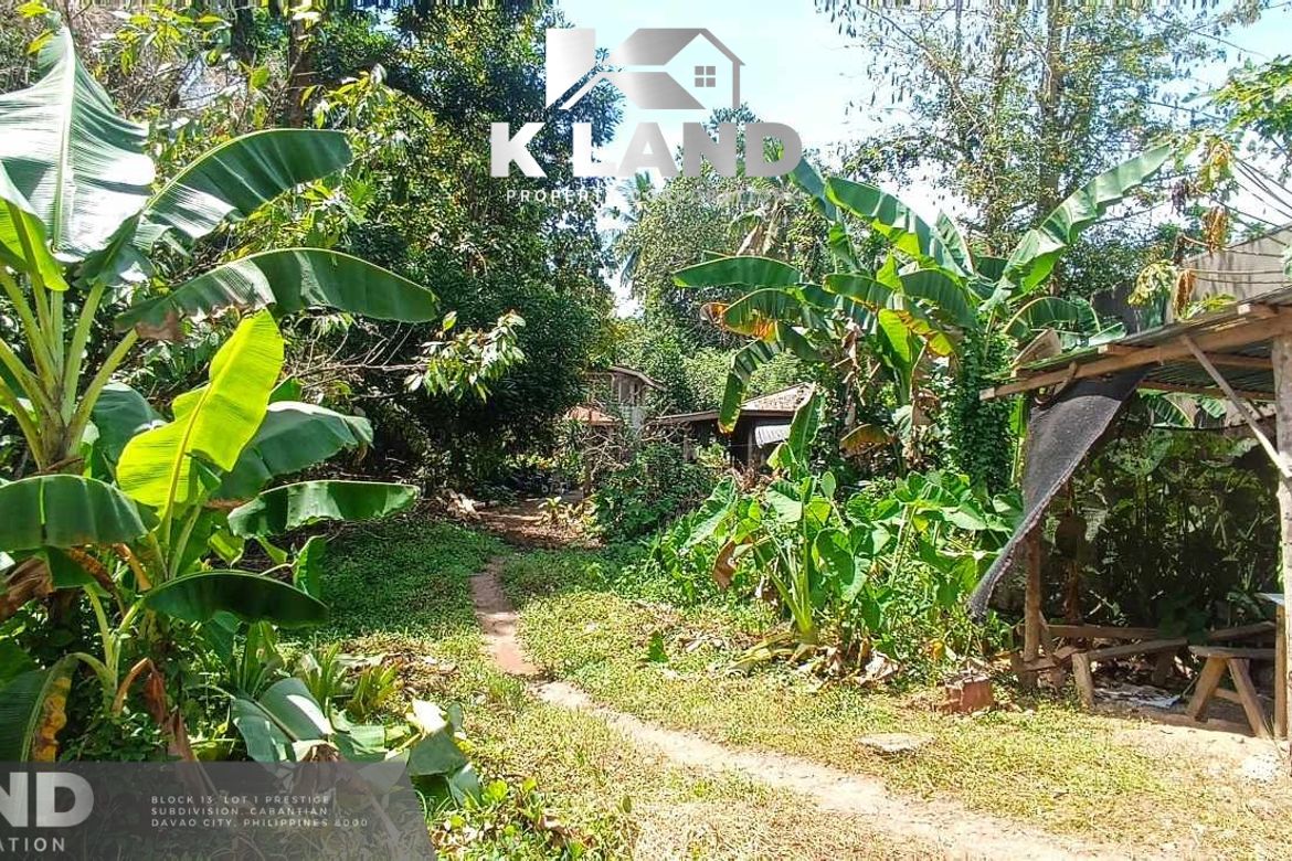 Land for Sale in Mambago-A, Samal, Davao del Norte – photo 3