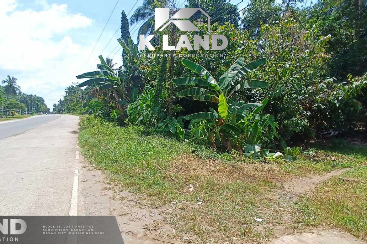 Land for Sale in Mambago-A, Samal, Davao del Norte – photo 5