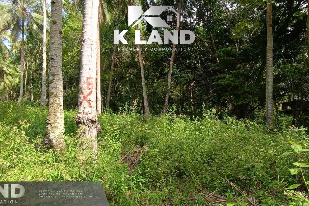 Land for Sale in Mambago-B, Samal, Davao del Norte – photo 5
