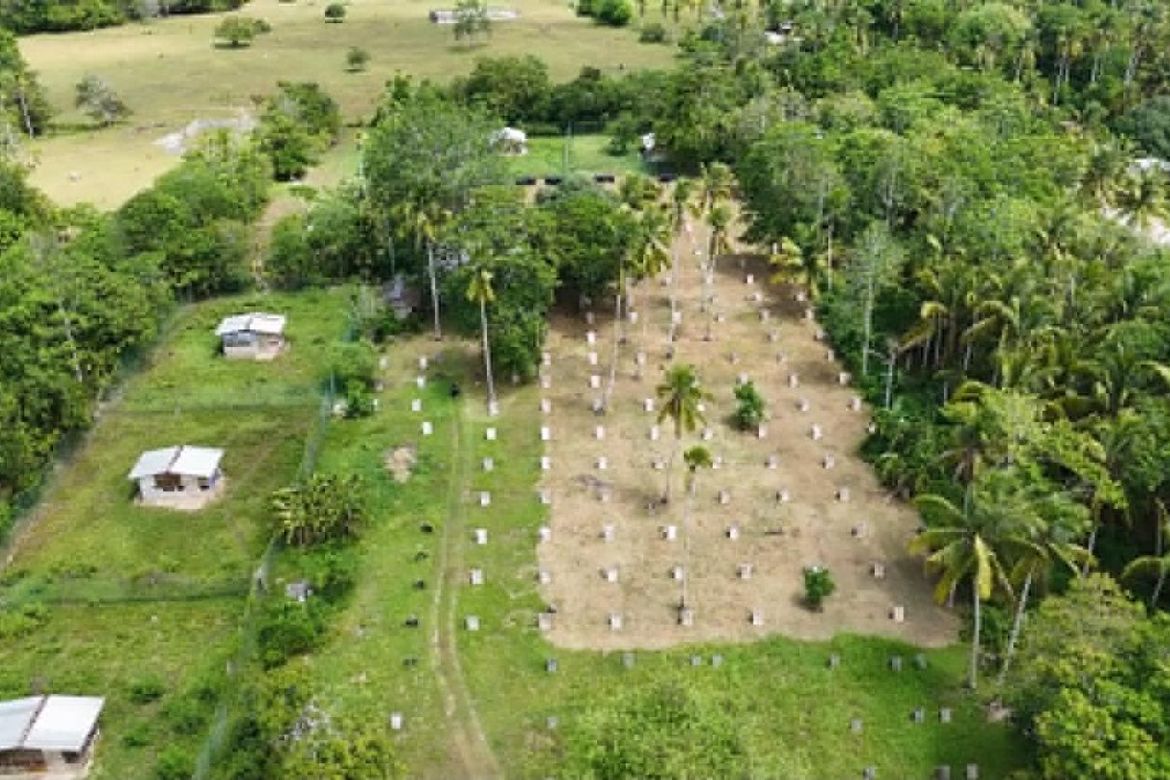 Land for Sale in Mambago-B, Samal, Davao del Norte