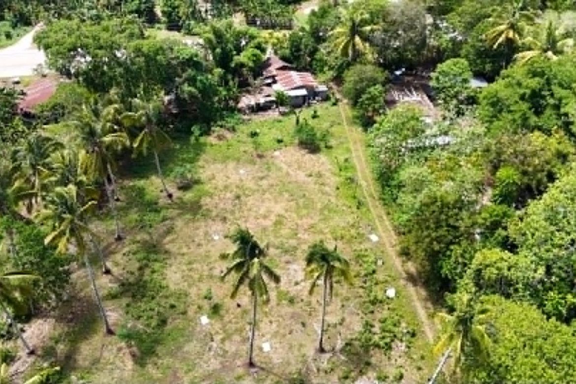 Land for Sale in Mambago-B, Samal, Davao del Norte – photo 3