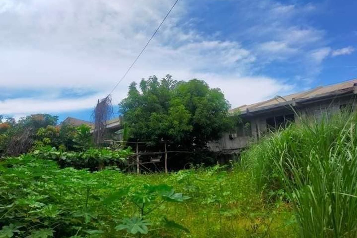 Land for Sale in Mambaling, Cebu City, Cebu – photo 3