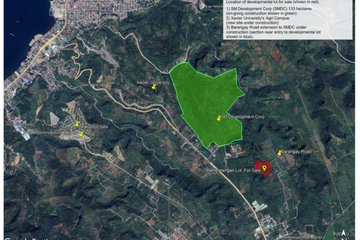 Land for Sale in Mambatangan, Manolo Fortich, Bukidnon – photo 2