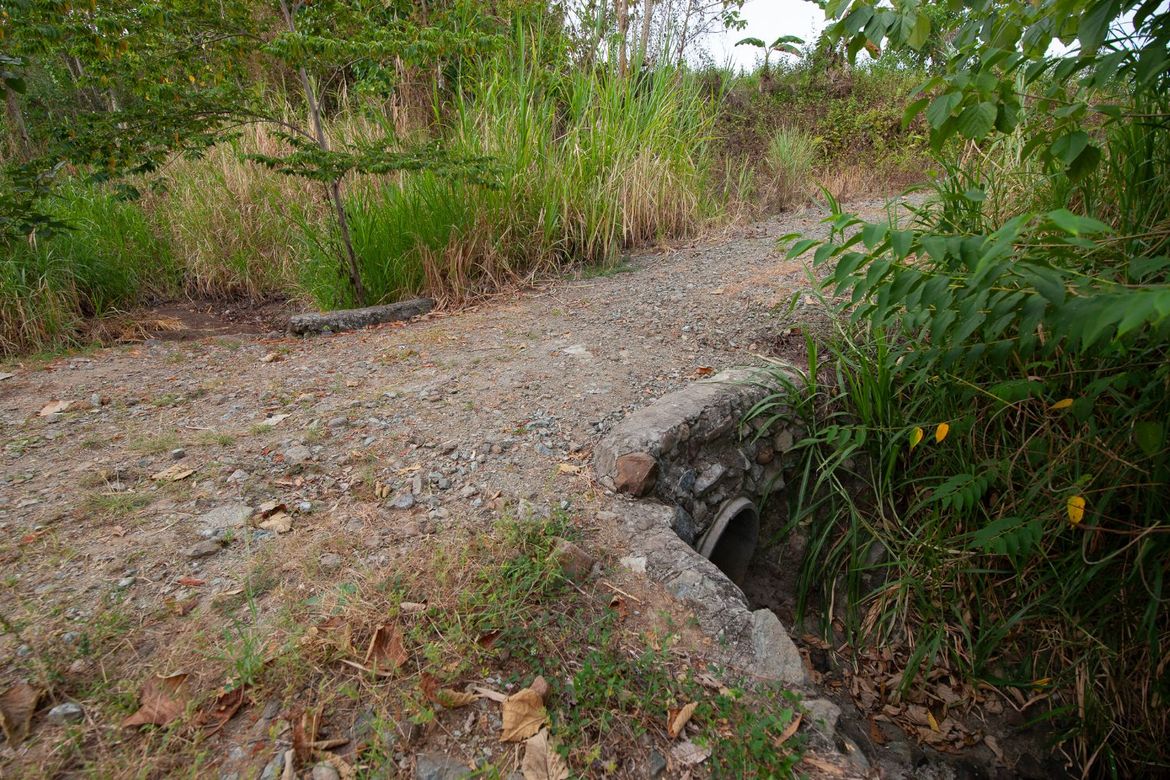 Land for Sale in Mambatangan, Manolo Fortich, Bukidnon – photo 7