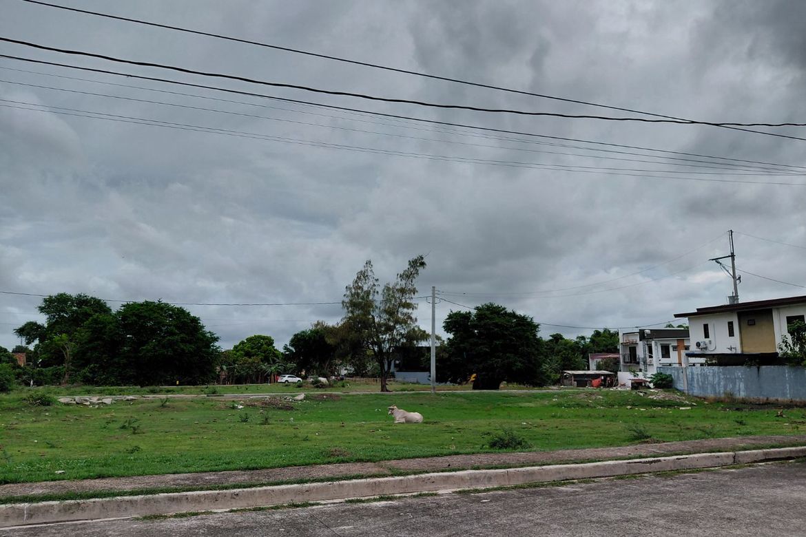 Land for Sale in Mambog IV, Bacoor, Cavite