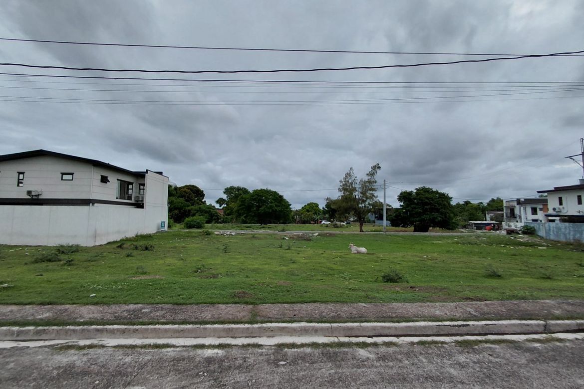 Land for Sale in Mambog IV, Bacoor, Cavite – photo 2