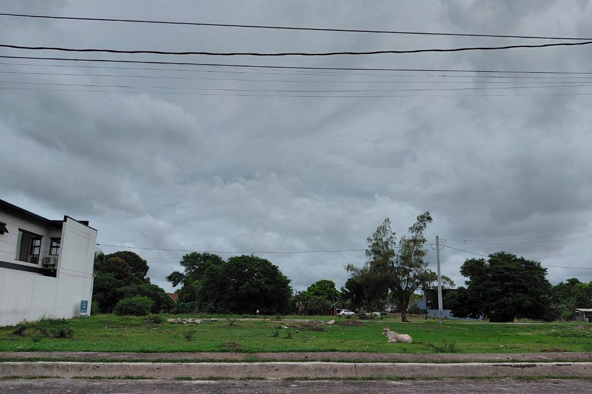 Land for Sale in Mambog IV, Bacoor, Cavite – photo 3
