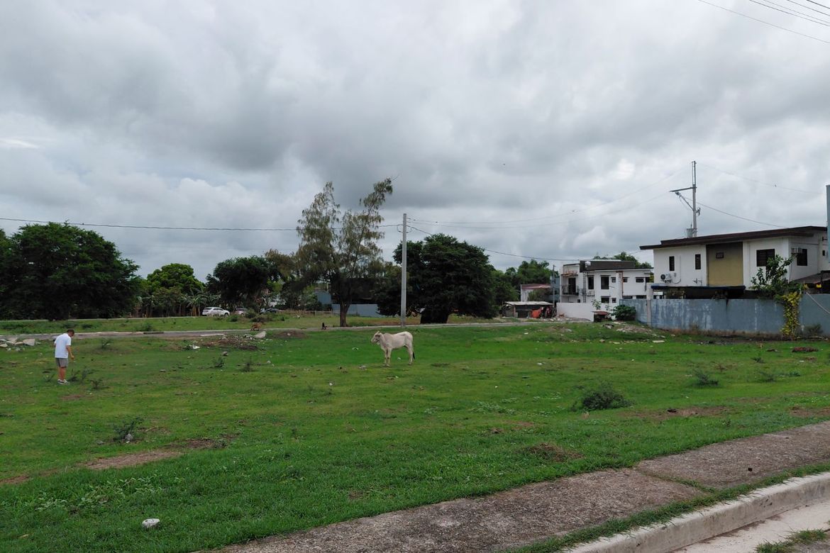 Land for Sale in Mambog IV, Bacoor, Cavite – photo 5