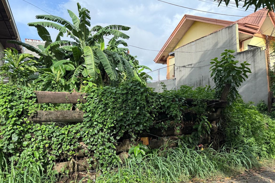 Land for Sale in Mambugan, Antipolo, Rizal – photo 3